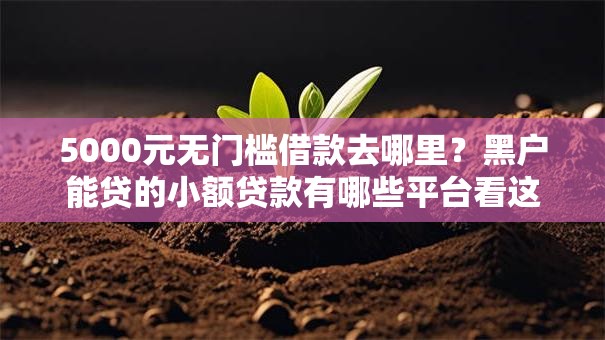5000元无门槛借款去哪里？黑户能贷的小额贷款有哪些平台看这8个平台