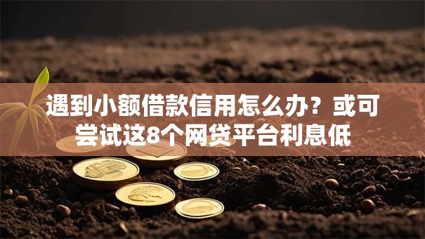 遇到小额借款信用怎么办？或可尝试这8个网贷平台利息低