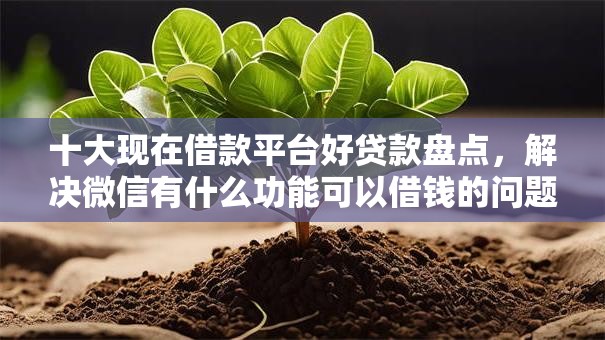 十大现在借款平台好贷款盘点，解决微信有什么功能可以借钱的问题