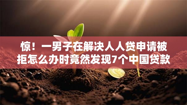 惊！一男子在解决人人贷申请被拒怎么办时竟然发现7个中国贷款平台，事后分享了出来