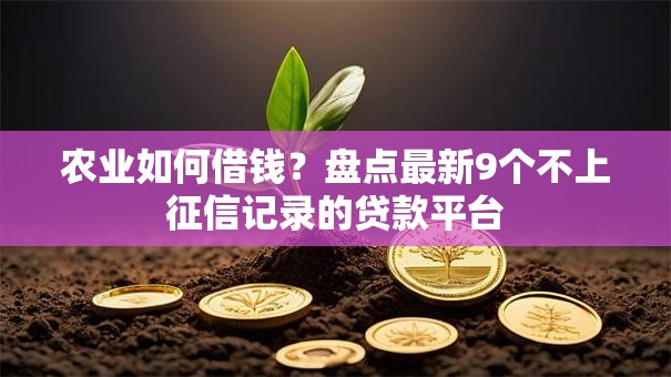 农业如何借钱？盘点最新9个不上征信记录的贷款平台