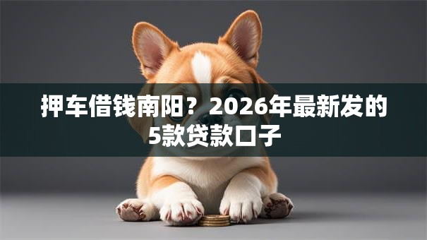 押车借钱南阳？2026年最新发的5款贷款口子