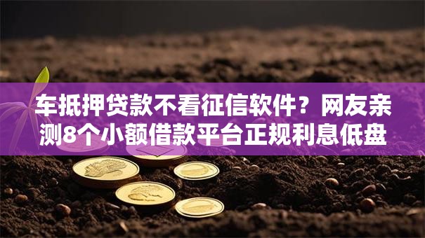 车抵押贷款不看征信软件？网友亲测8个小额借款平台正规利息低盘点