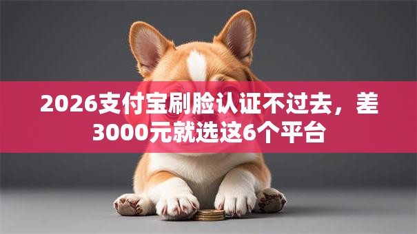 2026支付宝刷脸认证不过去，差3000元就选这6个平台