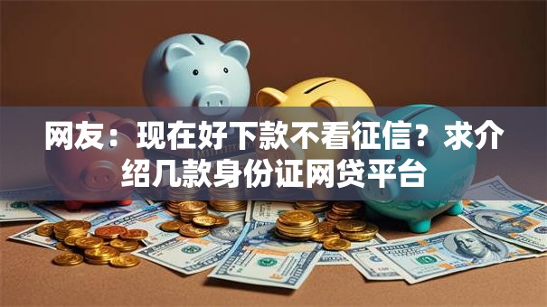 网友：现在好下款不看征信？求介绍几款身份证网贷平台
