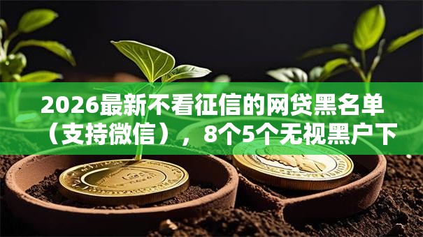 2026最新不看征信的网贷黑名单（支持微信），8个5个无视黑户下款口子无私分享