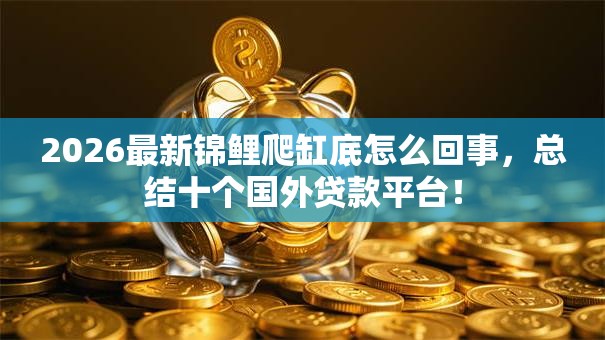 2026最新锦鲤爬缸底怎么回事，总结十个国外贷款平台！