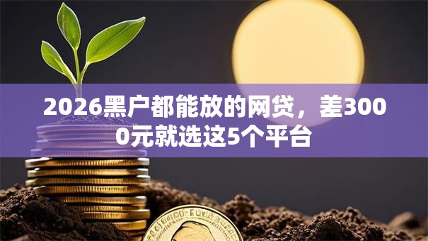 2026黑户都能放的网贷，差3000元就选这5个平台