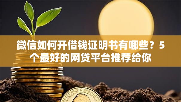 微信如何开借钱证明书有哪些？5个最好的网贷平台推荐给你