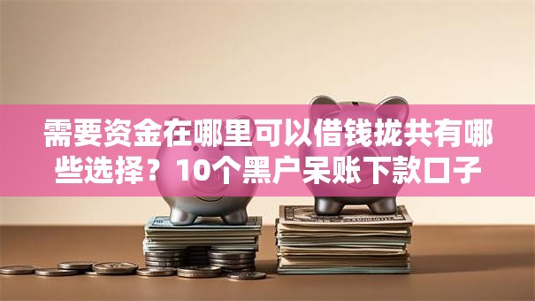需要资金在哪里可以借钱拢共有哪些选择？10个黑户呆账下款口子详解