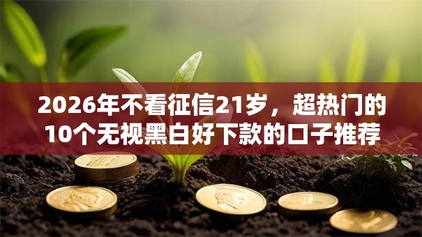 2026年不看征信21岁，超热门的10个无视黑白好下款的口子推荐