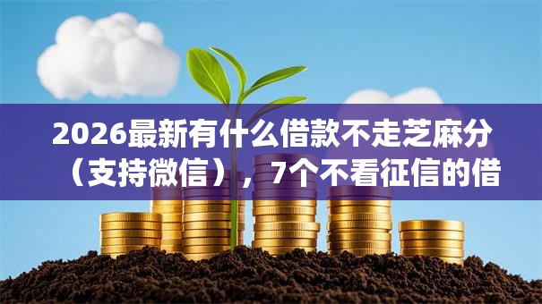 2026最新有什么借款不走芝麻分（支持微信），7个不看征信的借钱app无私分享