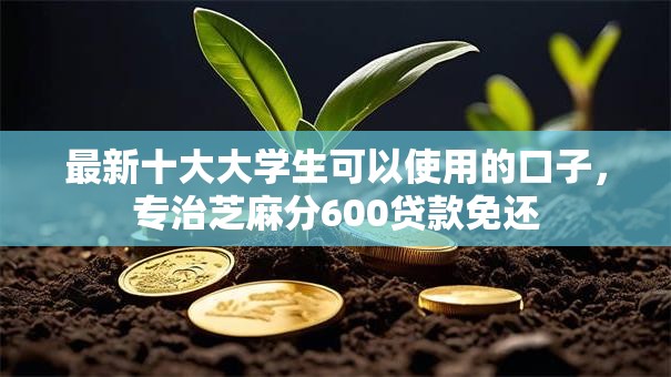 最新十大大学生可以使用的口子，专治芝麻分600贷款免还