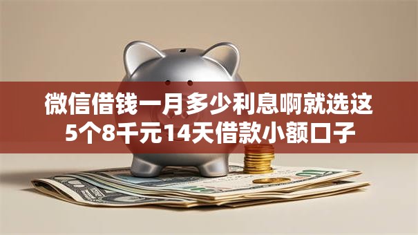微信借钱一月多少利息啊就选这5个8千元14天借款小额口子
