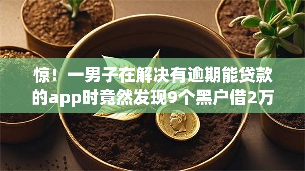 惊！一男子在解决有逾期能贷款的app时竟然发现9个黑户借2万元秒下网贷口子app，事后分享了出来