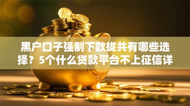 黑户口子强制下款拢共有哪些选择？5个什么贷款平台不上征信详解