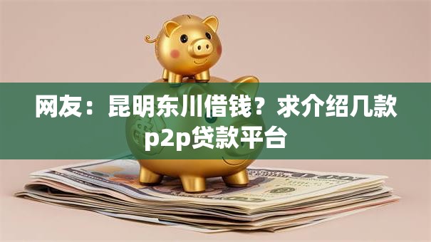 网友：昆明东川借钱？求介绍几款p2p贷款平台