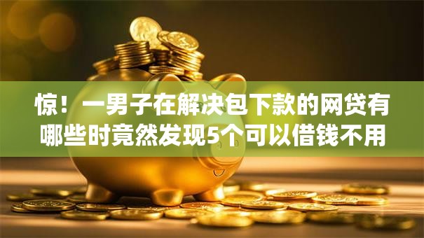 惊！一男子在解决包下款的网贷有哪些时竟然发现5个可以借钱不用审核的app，事后分享了出来