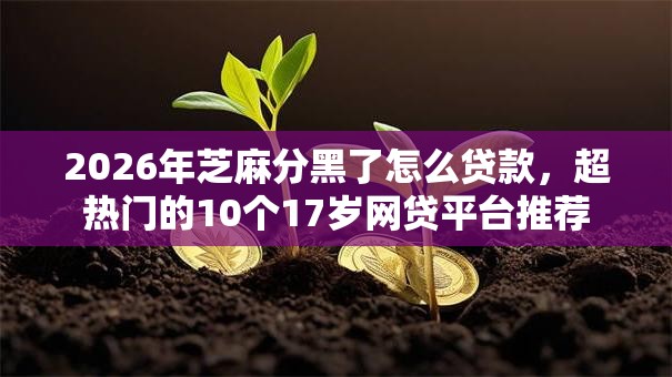 2026年芝麻分黑了怎么贷款，超热门的10个17岁网贷平台推荐