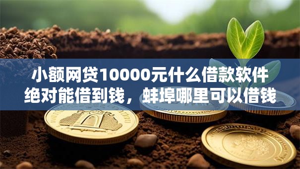 小额网贷10000元什么借款软件绝对能借到钱，蚌埠哪里可以借钱的6个平台介绍