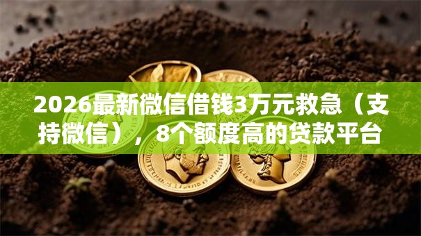 2026最新微信借钱3万元救急（支持微信），8个额度高的贷款平台无私分享