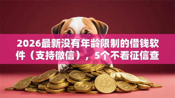 2026最新没有年龄限制的借钱软件（支持微信），5个不看征信查询的口子无私分享
