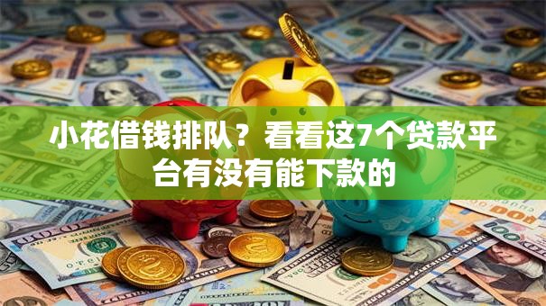 小花借钱排队？看看这7个贷款平台有没有能下款的