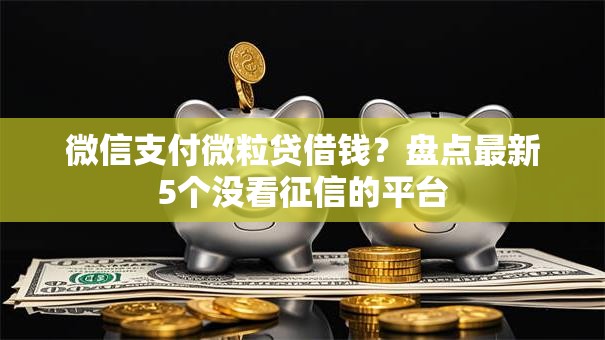 微信支付微粒贷借钱？盘点最新5个没看征信的平台