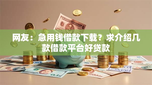网友：急用钱借款下载？求介绍几款借款平台好贷款