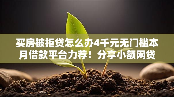 买房被拒贷怎么办4千元无门槛本月借款平台力荐！分享小额网贷口子4千元无门槛借款