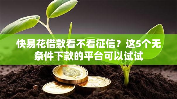 快易花借款看不看征信？这5个无条件下款的平台可以试试