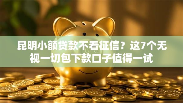昆明小额贷款不看征信？这7个无视一切包下款口子值得一试