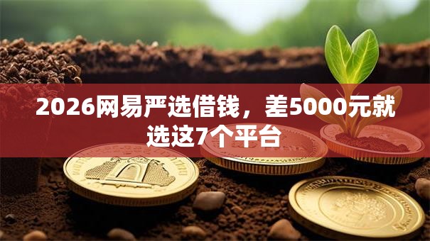 2026网易严选借钱，差5000元就选这7个平台