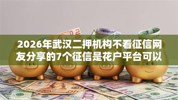 2026年武汉二押机构不看征信网友分享的7个征信是花户平台可以借钱不我觉得不错！