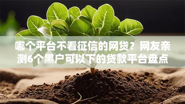 哪个平台不看征信的网贷？网友亲测6个黑户可以下的贷款平台盘点