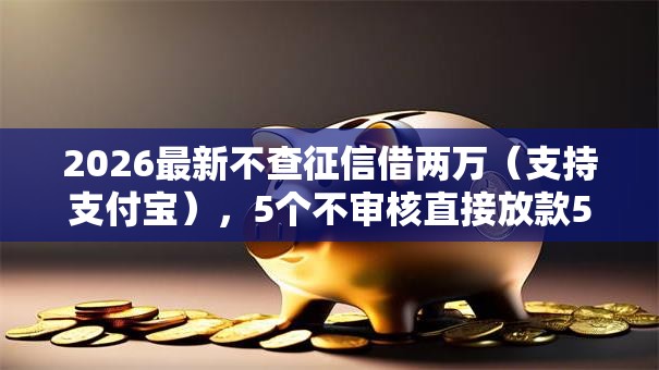 2026最新不查征信借两万（支持支付宝），5个不审核直接放款500的平台无私分享