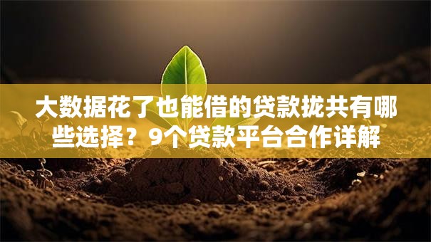 大数据花了也能借的贷款拢共有哪些选择？9个贷款平台合作详解