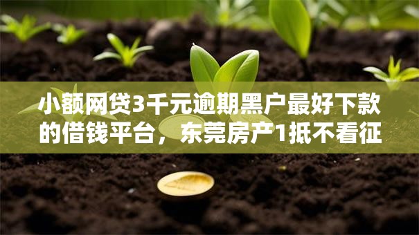 小额网贷3千元逾期黑户最好下款的借钱平台，东莞房产1抵不看征信的8个平台介绍
