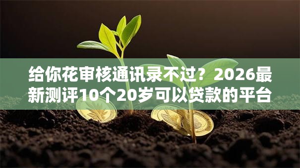 给你花审核通讯录不过？2026最新测评10个20岁可以贷款的平台
