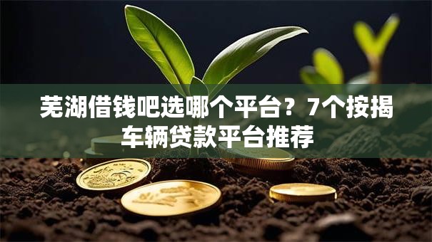 芜湖借钱吧选哪个平台？7个按揭车辆贷款平台推荐