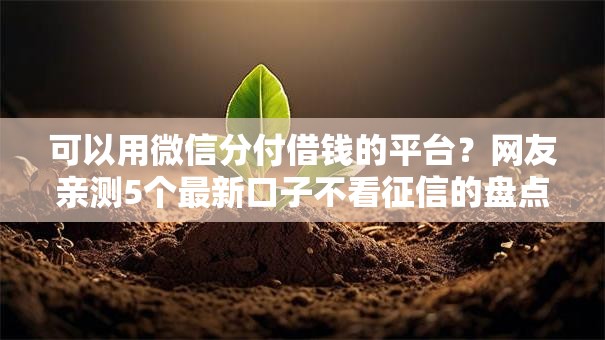 可以用微信分付借钱的平台?网友亲测5个最新口子不看征信的盘点 可以用微信分付借钱的平台?网友亲测5个最新口子不看征信的盘点