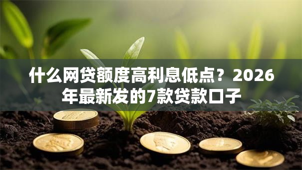 什么网贷额度高利息低点？2026年最新发的7款贷款口子