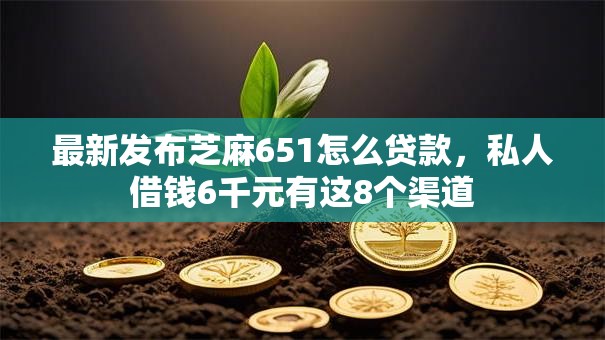 最新发布芝麻651怎么贷款，私人借钱6千元有这8个渠道