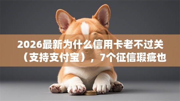 2026最新为什么信用卡老不过关（支持支付宝），7个征信瑕疵也能借网贷轻松下款的app无私分享