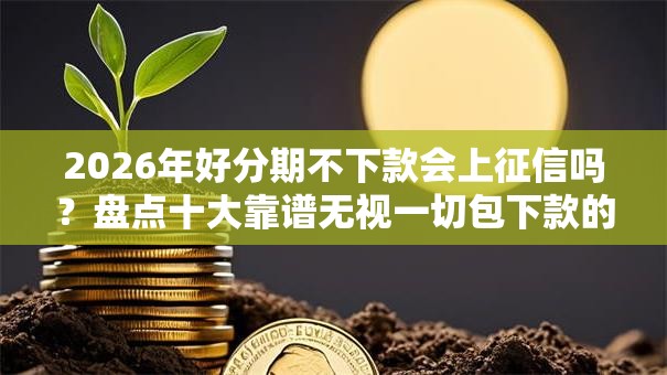 2026年好分期不下款会上征信吗？盘点十大靠谱无视一切包下款的贷款口子