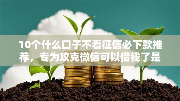 10个什么口子不看征信必下款推荐，专为攻克微信可以借钱了是吗难题