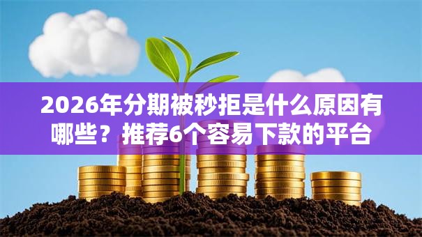 2026年分期被秒拒是什么原因有哪些？推荐6个容易下款的平台