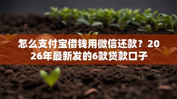 怎么支付宝借钱用微信还款？2026年最新发的6款贷款口子
