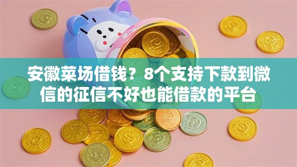 安徽菜场借钱？8个支持下款到微信的征信不好也能借款的平台
