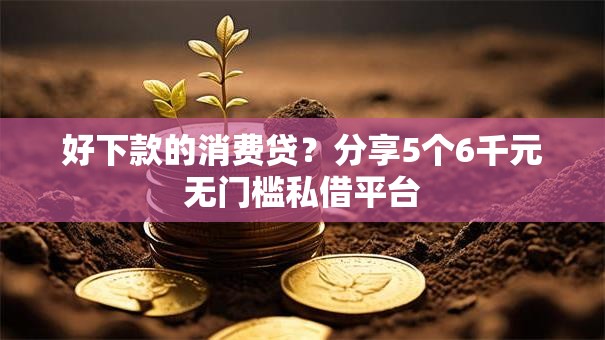 好下款的消费贷？分享5个6千元无门槛私借平台